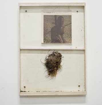 Agenda: confira os destaques da semana 28 de julho a 3 de agosto