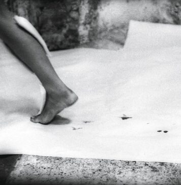 Mulheres radicais: arte latino-americana, 1960-1985 María Evelia Marmolejo