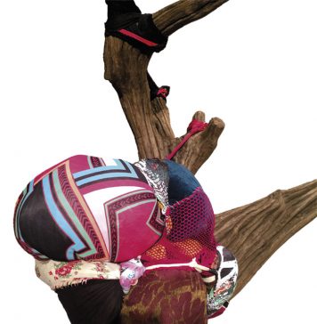 As raízes de Sônia Gomes