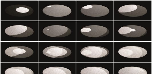 Um jardim de códigos