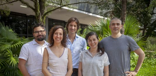 Retrato dos curadores