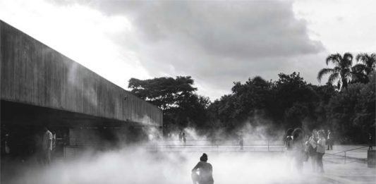 Visual arts get inside FLIP Laura Vinci