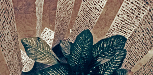 Exposição apresenta a diversidade e pluralidade da produção feminina