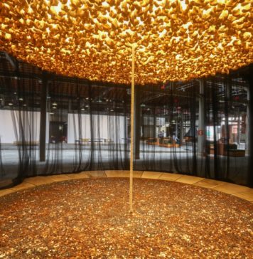 Vendo e entrevendo Cildo Meireles