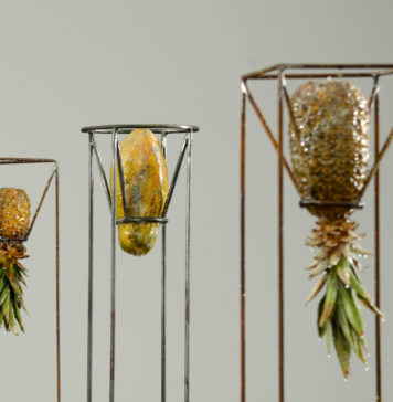 A Gentil Carioca inaugura a 16ª edição do projeto Abre Alas