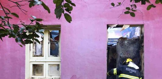 Incêndio atinge parte importante do Museu de História Natural da UFMG Incêndio UFMG