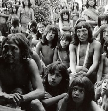 Acervo Comentado Videobrasil: Moacir dos Anjos e Vincent Carelli