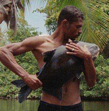 Latitude Art Fair reúne mais de 50 galerias brasileiras na web