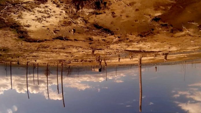 Still from Amerika - Bahia de las setas. Photo: Disclosure.
