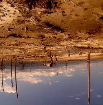 Assista “Amérika – Bahia de las flechas”, de Ana Vaz, no novo Acervo Comentado VB Still de Amérika - Bahia de las flechas. Foto: Divulgação.