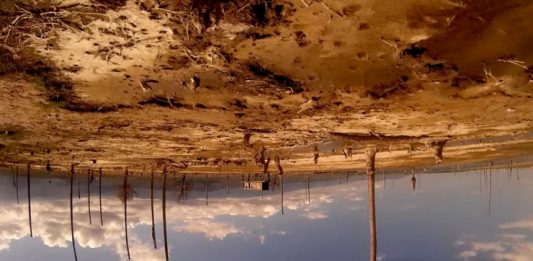 Assista “Amérika – Bahia de las flechas”, de Ana Vaz, no novo Acervo Comentado VB Still de Amérika - Bahia de las flechas. Foto: Divulgação.