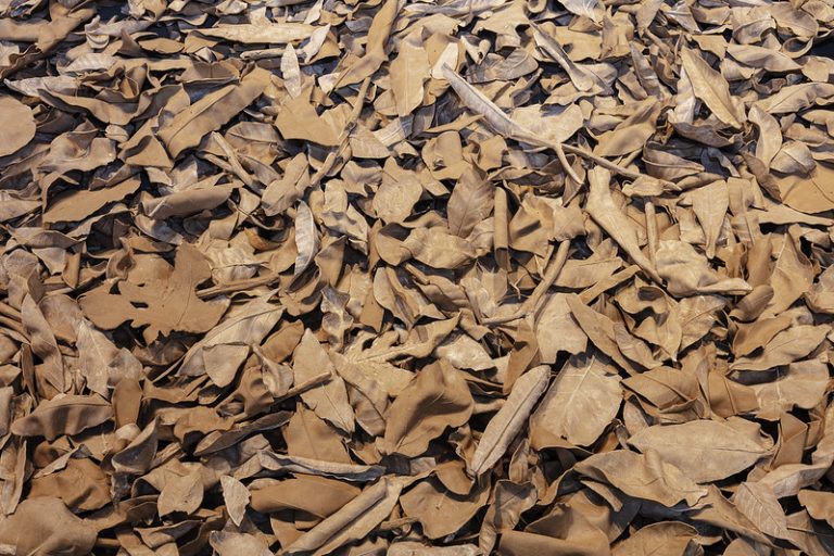 The archeology of tailings The archeology of tailings