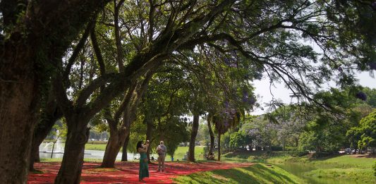 "Geografia", de Cinthia Marcelle, na Mostra 3M de Arte. Foto: Karina Bacci