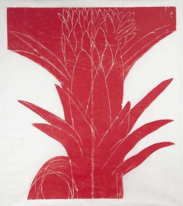 Woodcut by Santídio Pereira. Text Claudinei Afro-Brazilian Art
