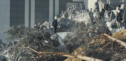 Arte sul-coreana dos tempos do Antropoceno ganha espaço no Videobrasil Online