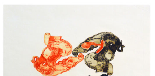LIVER TALKING, by Anna Bella Geiger