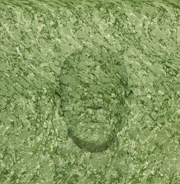 Guidon, homem de Betanimen