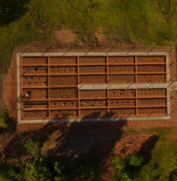 Fome e violência são temas das novas obras da coleção da Usina de Arte, em Pernambuco Vista aérea de "Campo da fome", de Matheus Rocha Pitta.