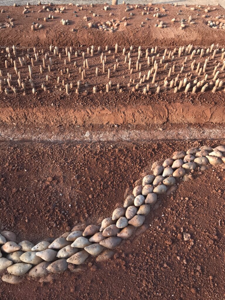 Detail from "Field of hunger", by Matheus Rocha Pitta.