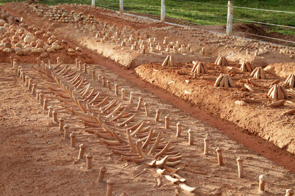 Detail from "Field of hunger", by Matheus Rocha Pitta.