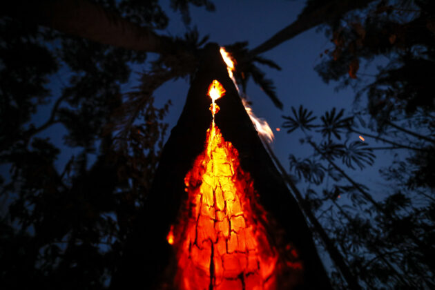 Floresta queimada na margem do Rio Jamari, na cidade de Itapuã do Oeste, Rondônia, 2019. Foto: Bruno Kelly.