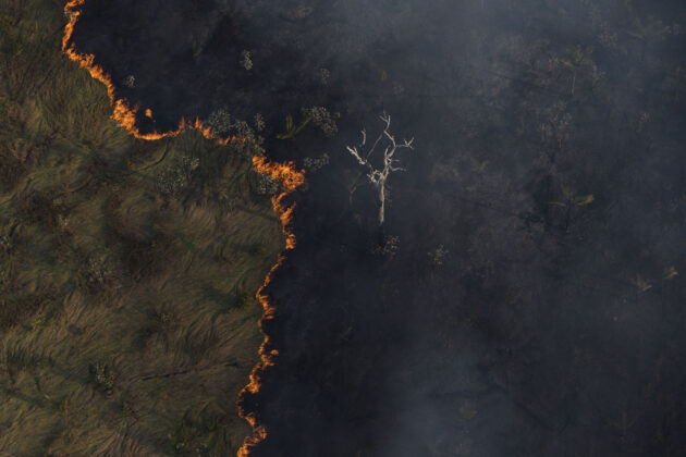 Queimada é vista em meio a área de floresta próxima à capital Porto Velho. Foto: Bruno Kelly/Amazônia Real.