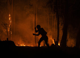 Indígena do povo Guarani, caminha em meio a floresta durante a noite, para combater o incêndio próximo a Aldeia Tekoa Itakupe na Terra Indígena Jaraguá, na zono oeste de São Paulo capital, 2020. Foto: Felipe Beltrame.