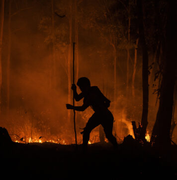Indígena do povo Guarani, caminha em meio a floresta durante a noite, para combater o incêndio próximo a Aldeia Tekoa Itakupe na Terra Indígena Jaraguá, na zono oeste de São Paulo capital, 2020. Foto: Felipe Beltrame.