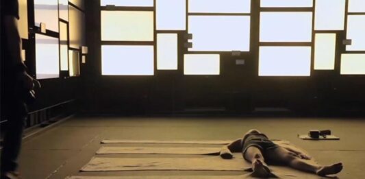 “REVIRAVOLTA” leva acervo do Videobrasil ao Espírito Santo Alexandre da Cunha