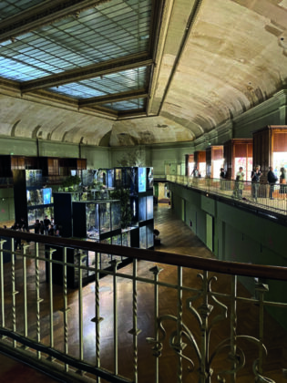 No Musée Guimet, inaugurado em 1889, Ugo Schiavi, Grafted Memory Sytem, 2022. Instalação de aço, vegetais, insetos, fósseis e cabos elétricos
