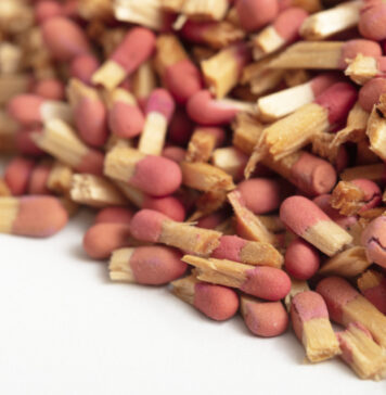 Política surge como terceira dimensão em mostra de Miguel Chaia que contrapõe sagrado e estético Nicolás Robbio, "Cabeças cortadas", 2015. Foto: Everton Ballardin