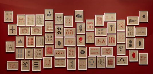 Síntese cosmológica Sheroanawe Hakihiiwe