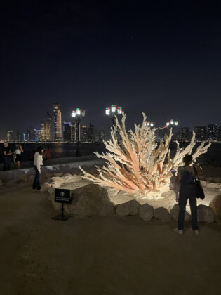 "Coral Alchemy", de Shezad Dawood, na exposição "Manar Abu Dhabi". Foto: Fabio Cypriano