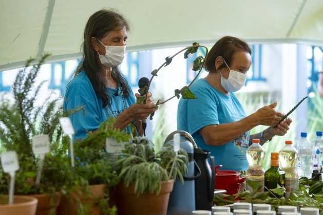 Atividade com plantas na edição inaugural do Programa Público. Foto: Kraw Penas/SECC