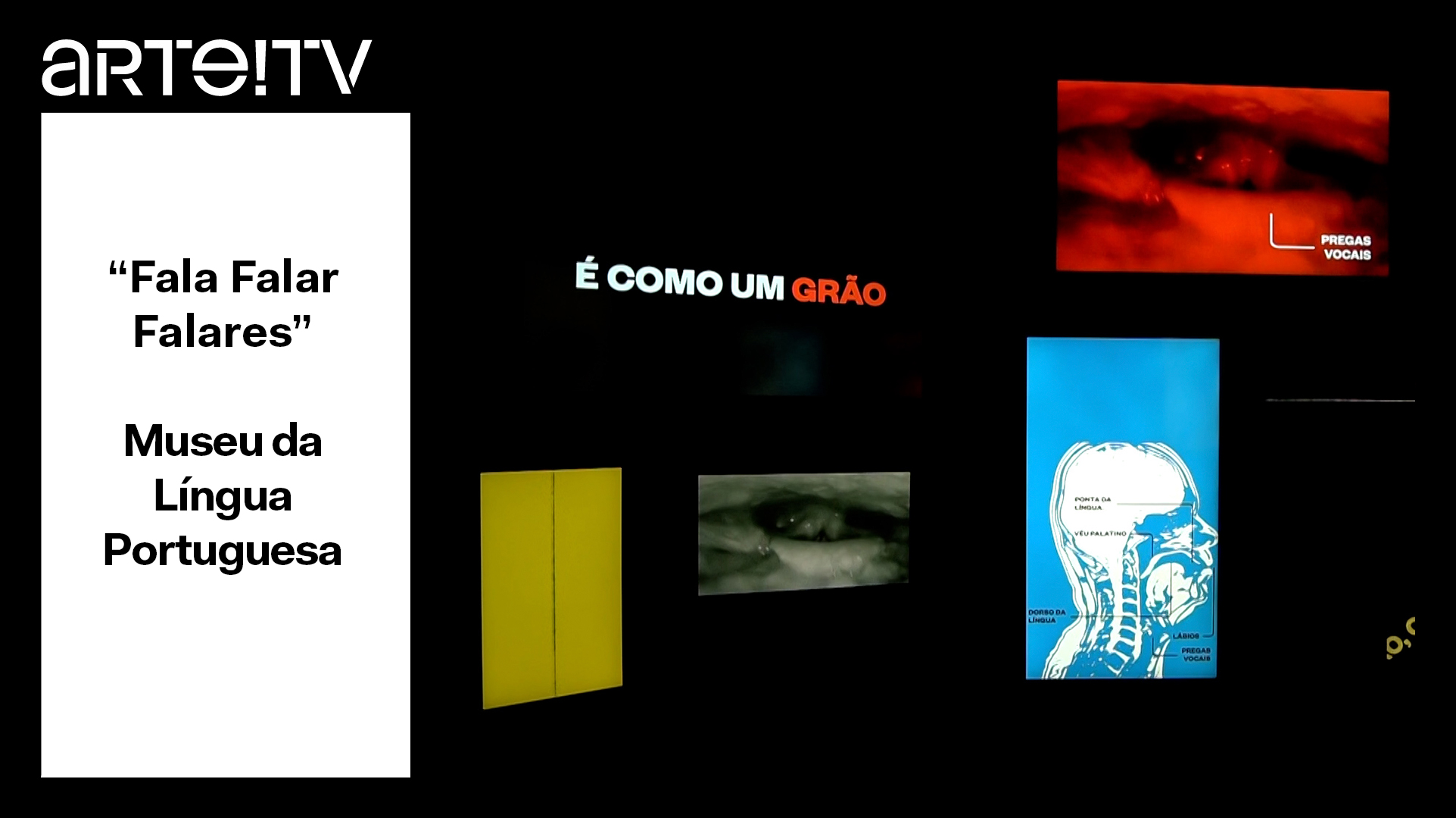 capa-video