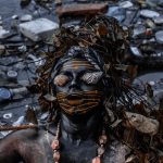 Por que falar do manguezal?