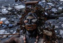 Por que falar do manguezal?