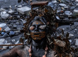 Por que falar do manguezal?