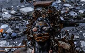 Por que falar do manguezal?