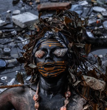 Por que falar do manguezal?