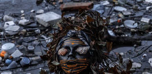 Por que falar do manguezal?