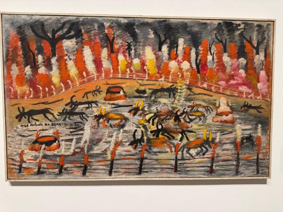 José Antônio da Silva no MAC-USP