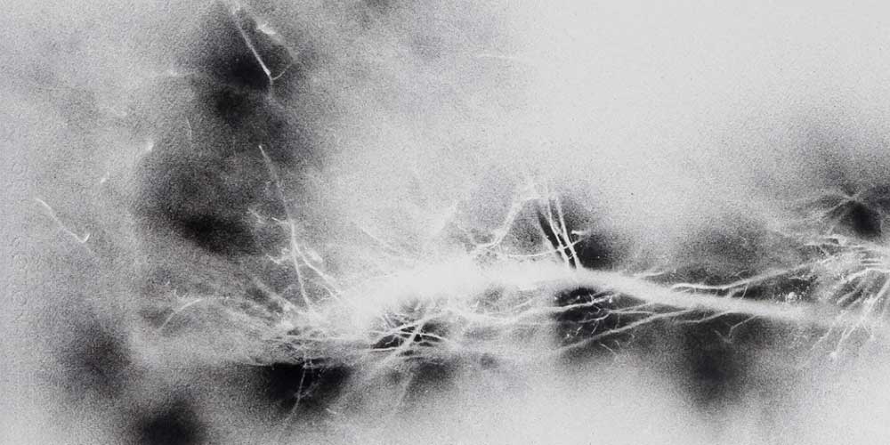 Exposição “Tania Candiani: Subterrânea”