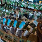 Mudança climática já ameaça coleções de fotografia