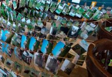 Mudança climática já ameaça coleções de fotografia