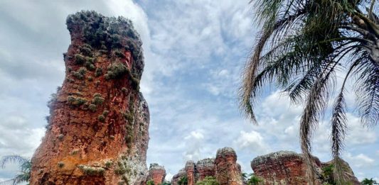 Vila Velha recebe a ousadia do “MON sem Paredes” em mostra inédita