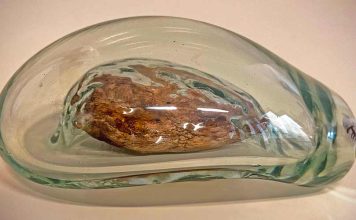 Exposição “Sopro de Luz”