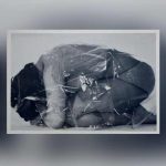 O privado é político: uma arte militante na coleção Verbund