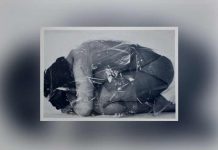 O privado é político: uma arte militante na coleção Verbund