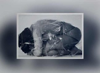 O privado é político: uma arte militante na coleção Verbund